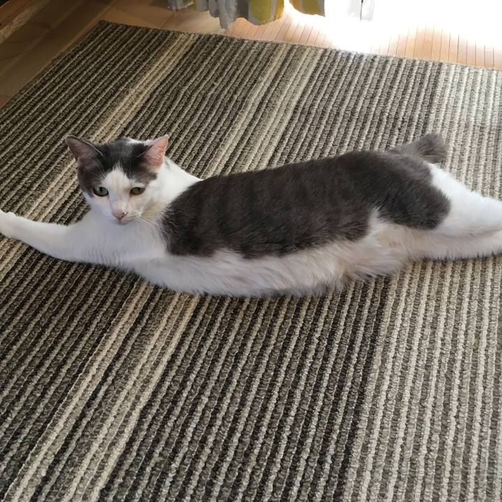 Eb6dbf38 1d76 4156 a755 df121776bb53