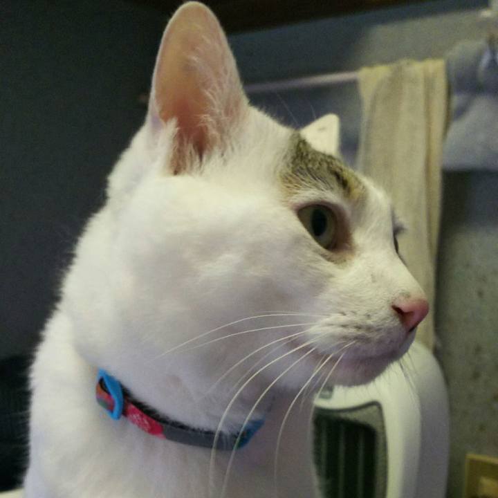 Eb6e788f ff41 433b 80d9 eb83a5e46a67