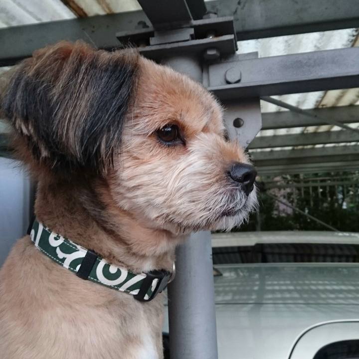 Eb6eba00 9b9e 4d55 b55c 0076d0dd72b1