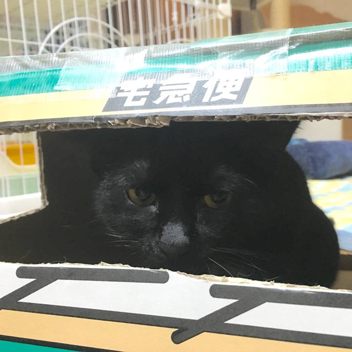 Eb6f1a1c e785 4362 841e f58839b3214c