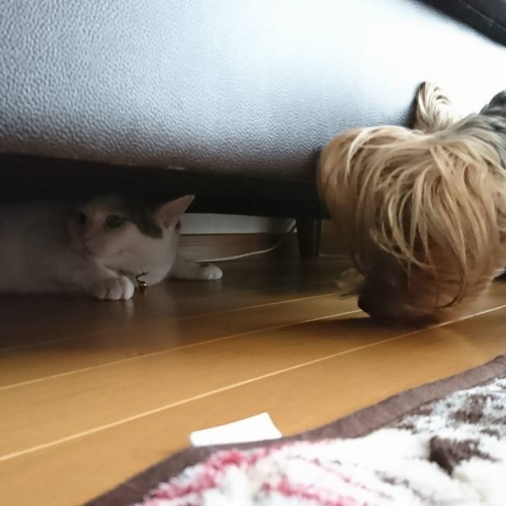 Eb702f14 1892 4443 9c79 6a09661b9abe