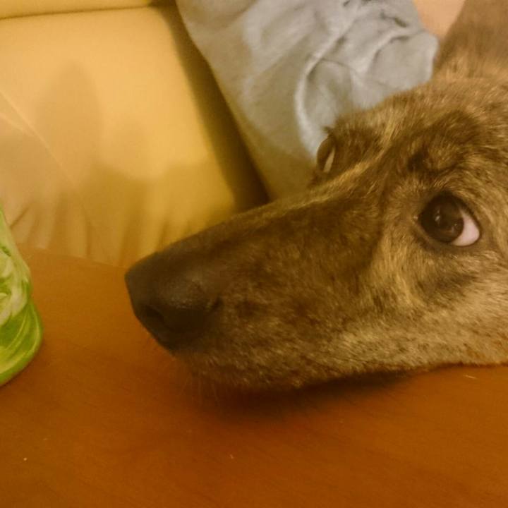 Eb7064d4 8ea9 48a3 b47e a8d7869aefe0