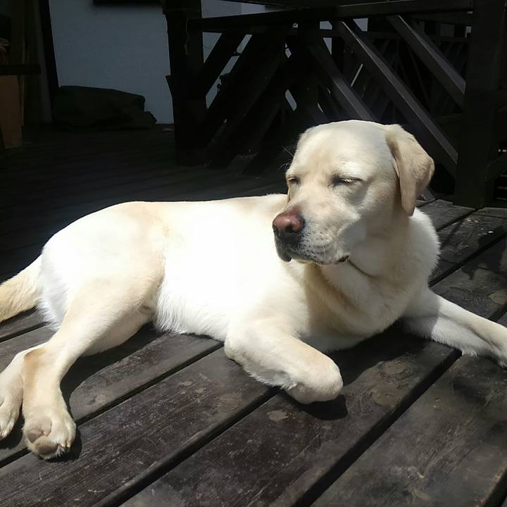 Eb70b9cf cf47 4f63 9763 7c4bb95386fe