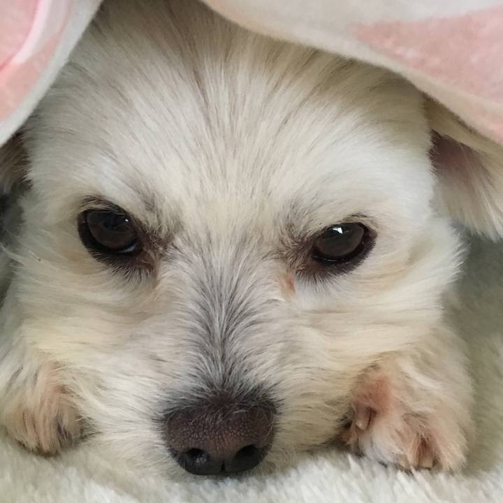 Eb70d12f 1dae 4fb7 99a3 c4bcacaf1a65