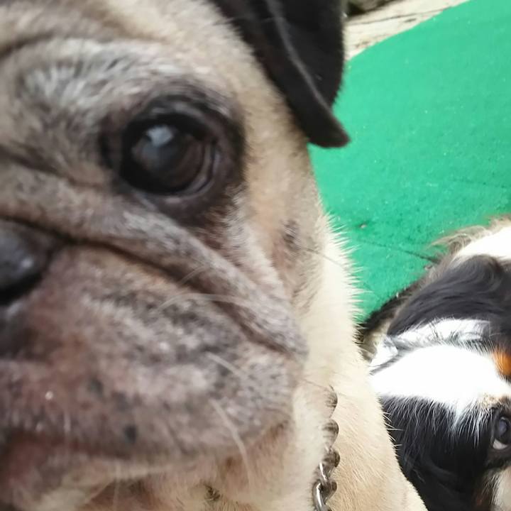 Eb70e3d0 b154 4f39 88e0 92480cfa08f3