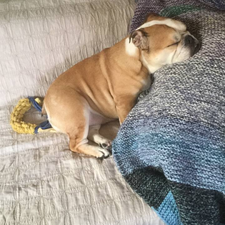 Eb71a2f7 9d84 432a b065 ba5d42386166