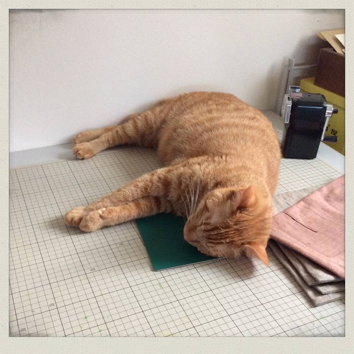 Eb722f0c 2eb0 4802 9ed9 c00a7e22c543