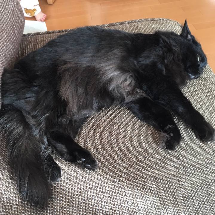 Eb726b0d c3bf 47d8 afd4 18bd9ac6f8ac