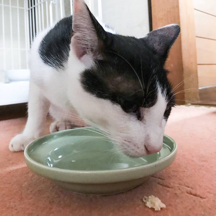 Eb72a11d 7f7c 4497 b3db 04b4a30fd6df