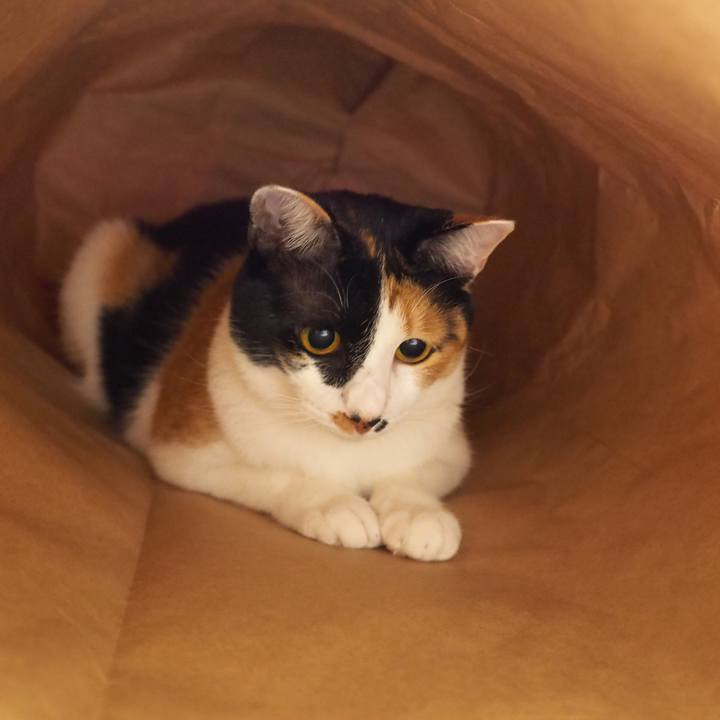 Eb73b925 f966 4245 a1a5 0ab7a4822b55