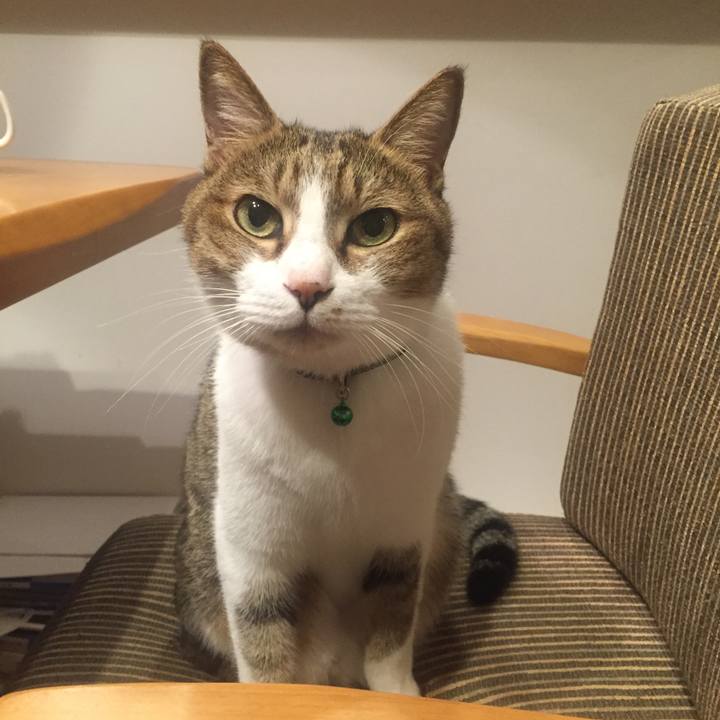 Eb73db2d 22b3 4faa a322 1d9759aaa7b6