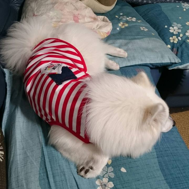 Eb746484 0da3 4cd1 bc1b 40282e70a566