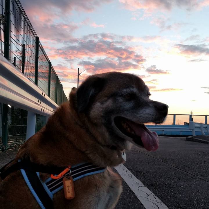 Eb746548 b8b3 4d30 acc7 4716f241b00d