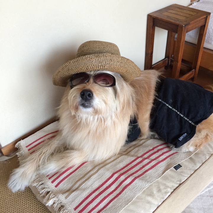 Eb746b8a cf83 483a bca3 8cfb6a8beeaa