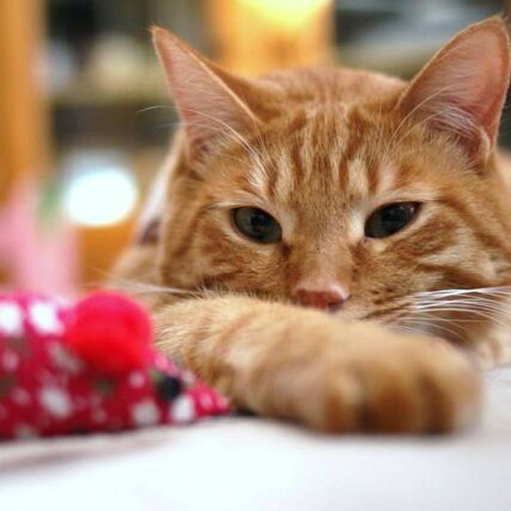 Eb7513c3 d4f8 4566 8c64 46da6e9a1561