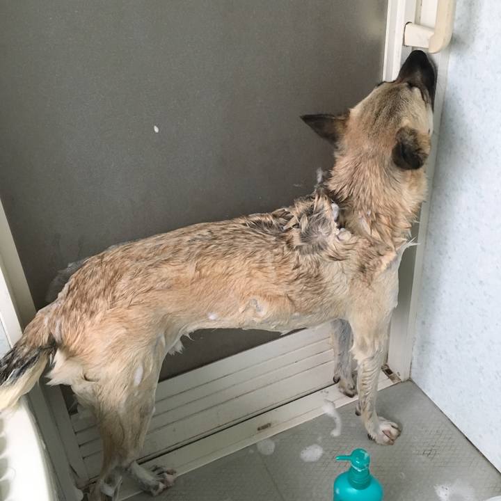 Eb754ad0 499b 43a0 b40a 3d02b43b237c