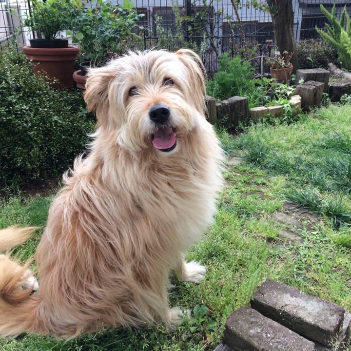 Eb759a21 be2a 4fd5 930b 3e3ff52d9bf0