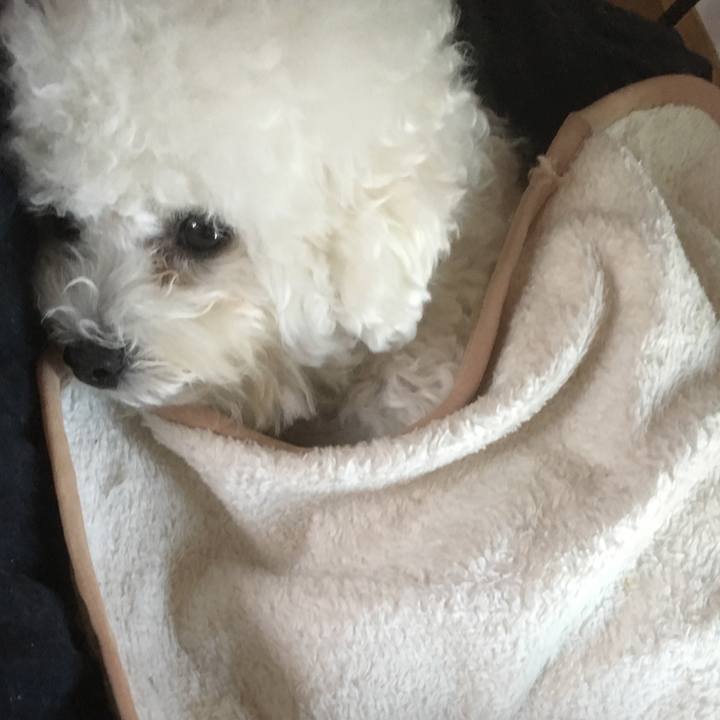 Eb75a7b6 aaa9 48f1 a7c6 7a4b17c34b65