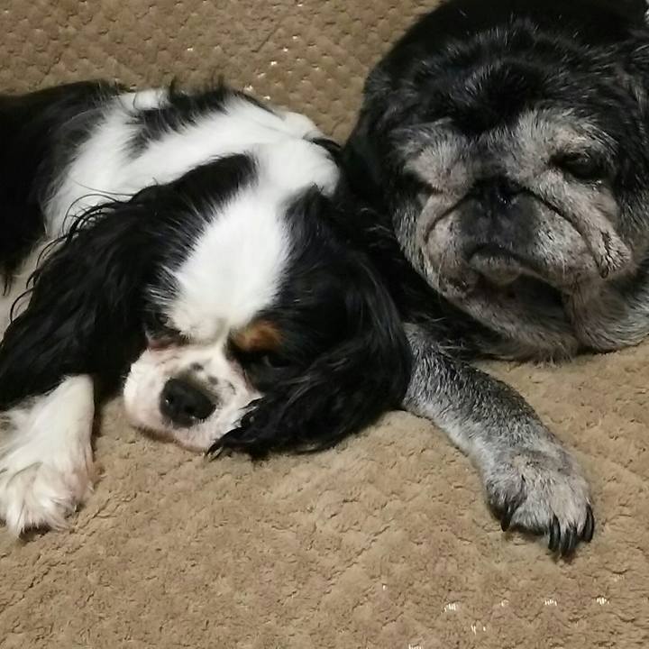 Eb75acb1 c8c7 43fb a4b8 d0650171a9a5