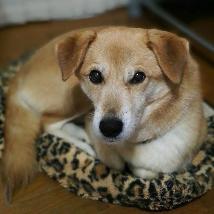 Eb75b45d 16bd 4903 9872 5e0cdfab9a89