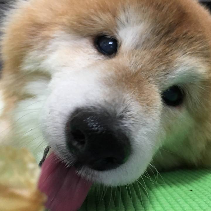 Eb766ac4 d742 4ff8 80e6 fa43c5fa080e