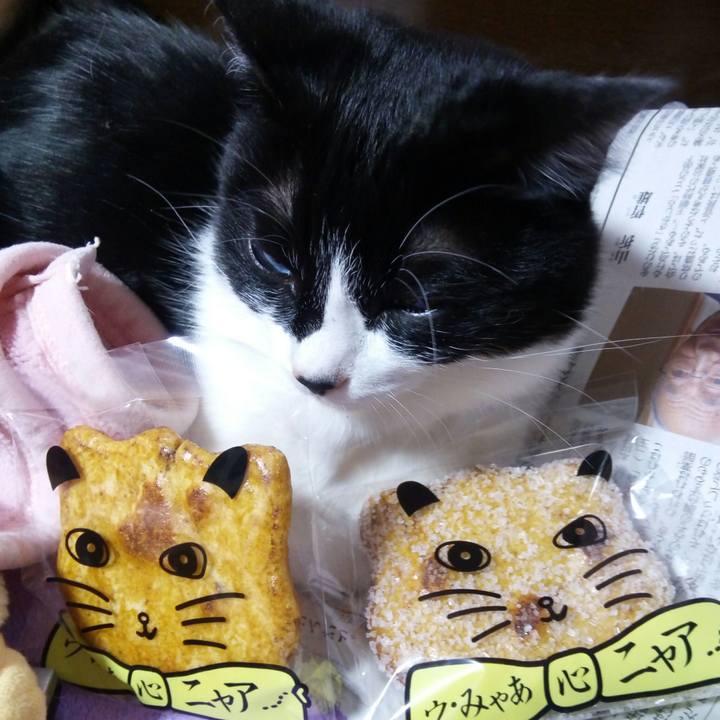 Eb76971f fb1d 4750 8b28 d08a7468221c