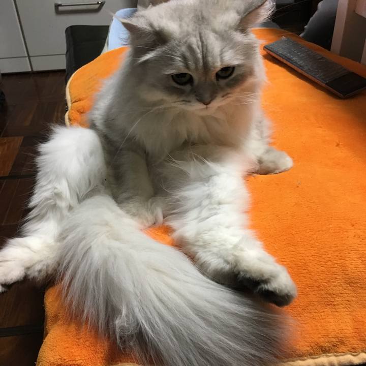 Eb770cec 5f11 4fa6 89a3 0177f33c5fbd