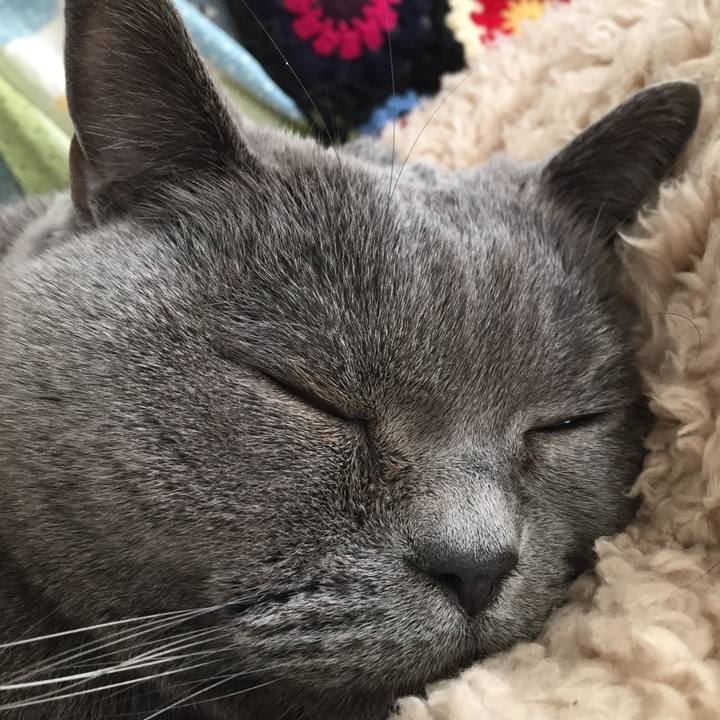 Eb77947f 7ec2 41ca 8bbb 35b8c7efc376