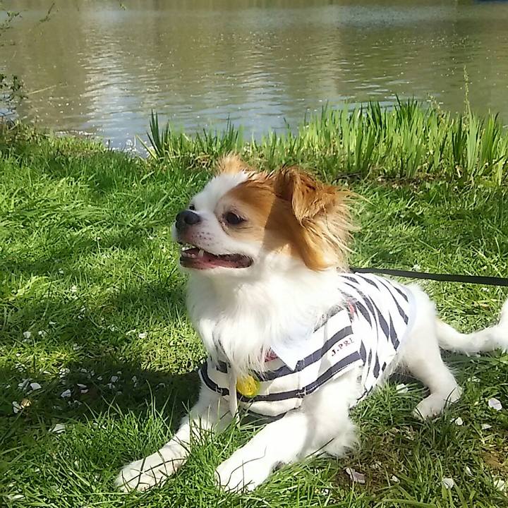 Eb77e431 304c 4e46 8daf 219a3883fb5f