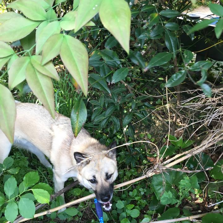 Eb78aeb1 18b0 43d5 9245 fc4a9bf5cede