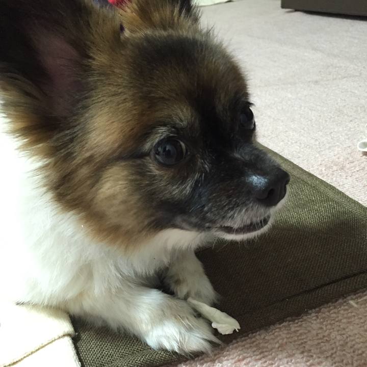 Eb78c700 03db 47ae 8c5b 6f1ec7e13299