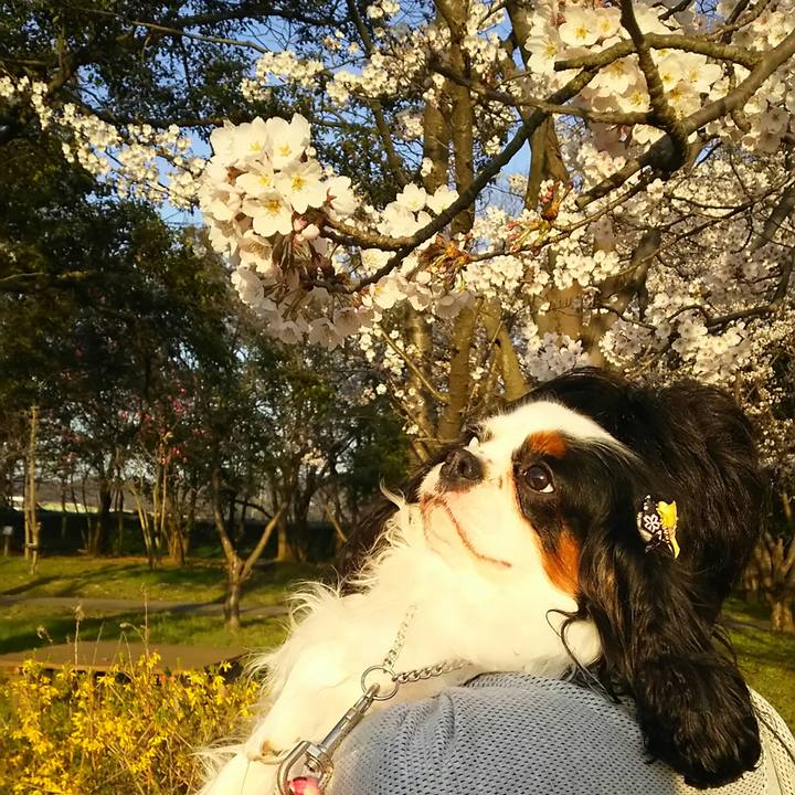 Eb79d8dd fa08 4a2c 9ccc 5d04ebd128fc