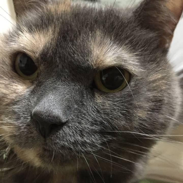 Eb7a848e f4a0 4288 acfc dba4f7647925