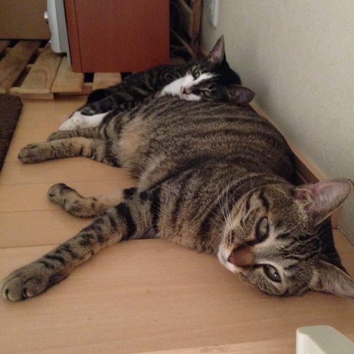 Eb7b8333 167b 4ac7 ad33 5c4b25bdb4dc