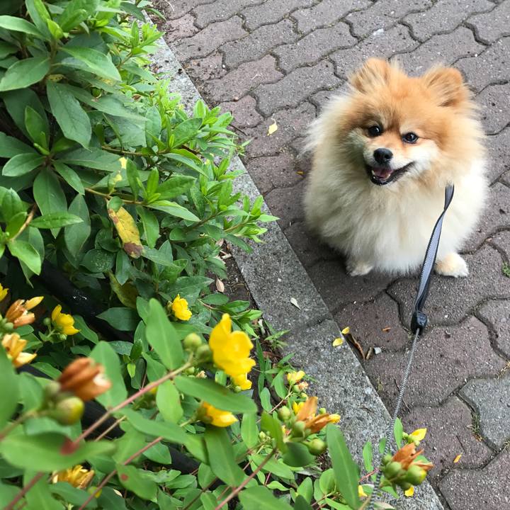 Eb7c0527 9628 41fb 86bf 7cb2ef09dc13