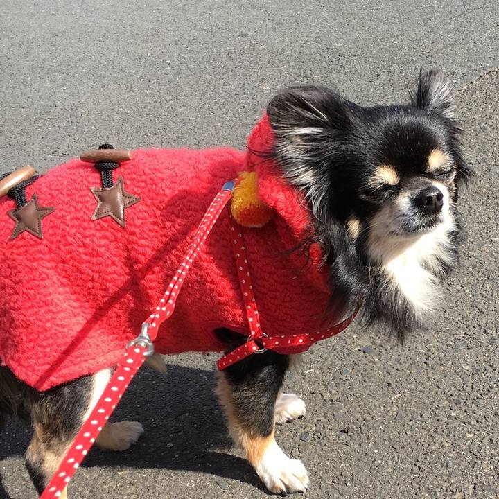 Eb7c12ca 1648 4ff0 b7c6 8c826ac9dbc5