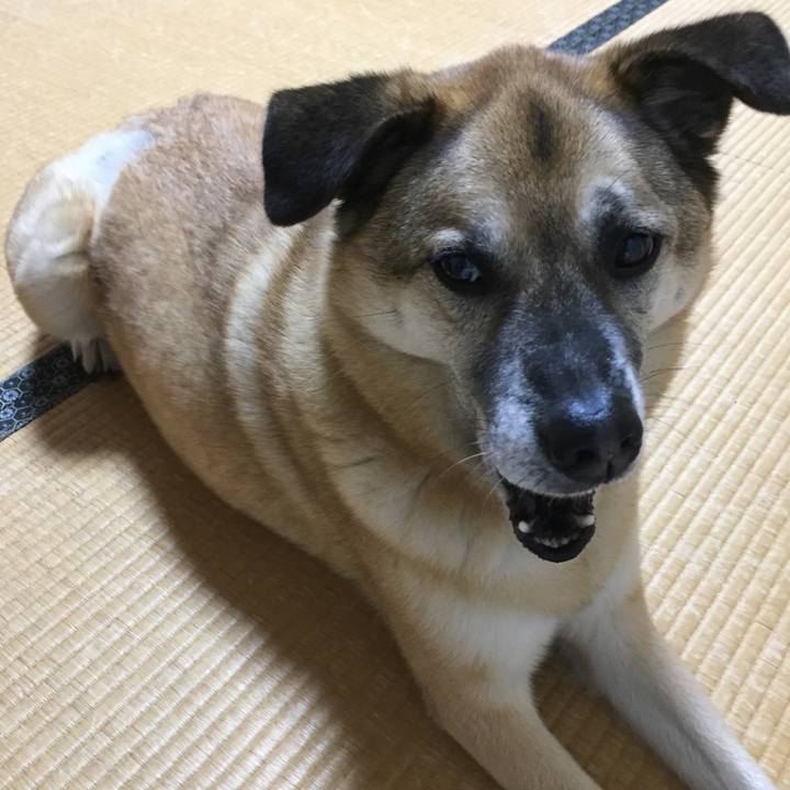 Eb7c1a64 31d8 4882 96c4 b0dbef96db10