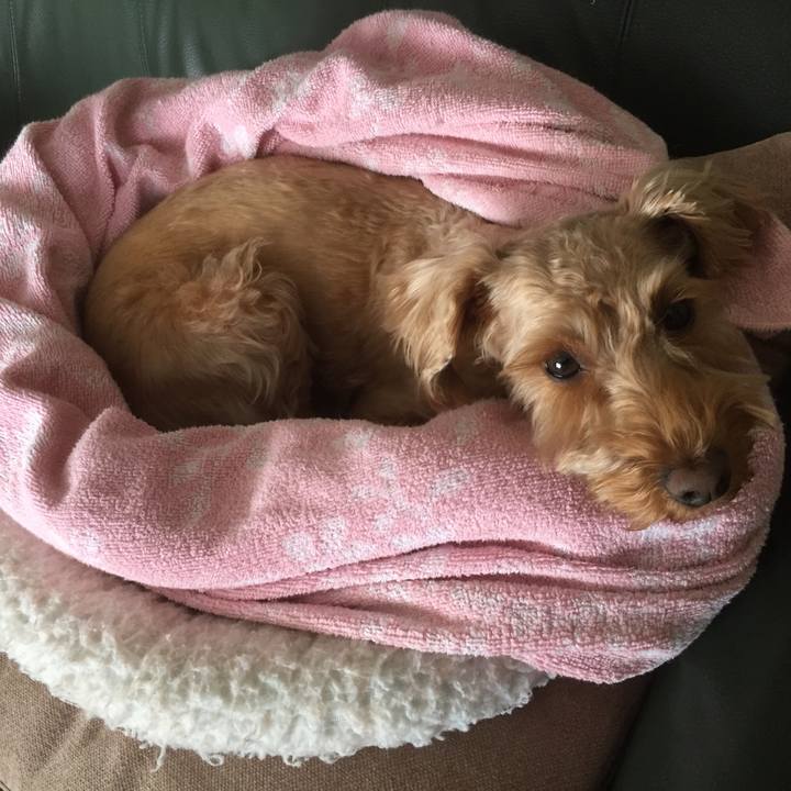 Eb7d69e3 ddfc 4255 b843 d19cad14e678