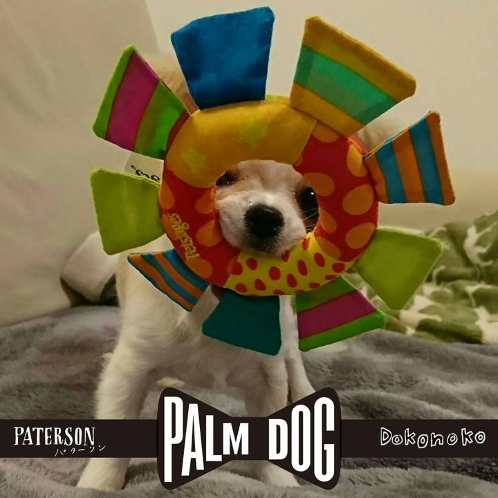 Eb7e9619 365a 4a61 a338 eadbd51c2443