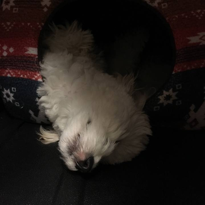 Eb7f1901 c097 4e28 b0f7 699ecbc4fb7a