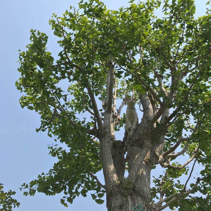 Eb80a761 7a13 4623 a120 1431fe8f0f42