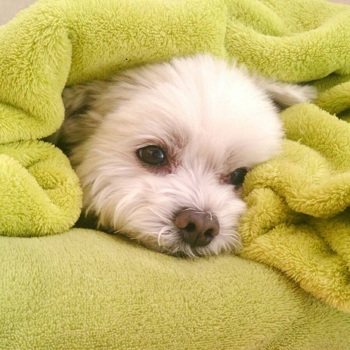 Eb80b408 26e6 42f5 a3d3 98252f8b23a8