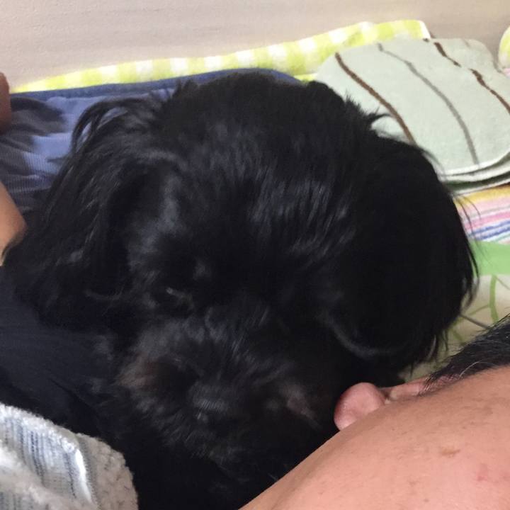 Eb80c21d 1c5b 46a9 a72b 4e25afd65fee