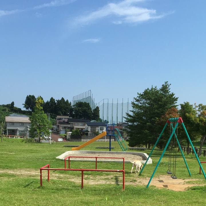 Eb81a8bd 275c 4788 b88c fd976cd71c56