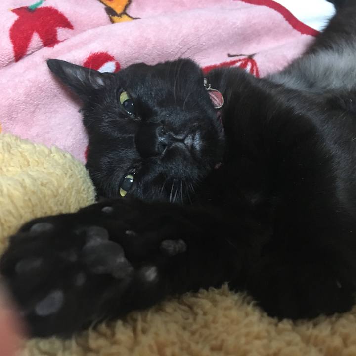 Eb8233c9 3713 4b77 9d5d 0a697fde19b1