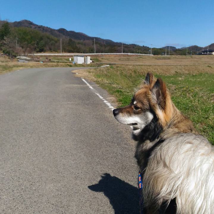 Eb825784 953e 4ab5 a1c4 2fd50252a58f