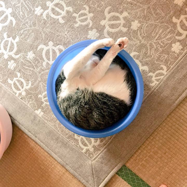 Eb828185 52ee 4e18 85db 585de316ac40