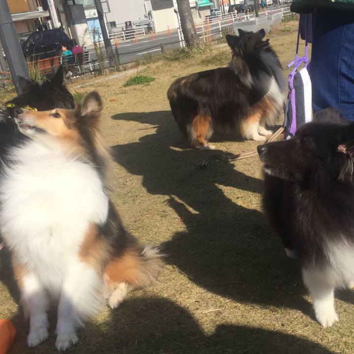 Eb831a25 42f7 4d30 aaca c3509bad0403