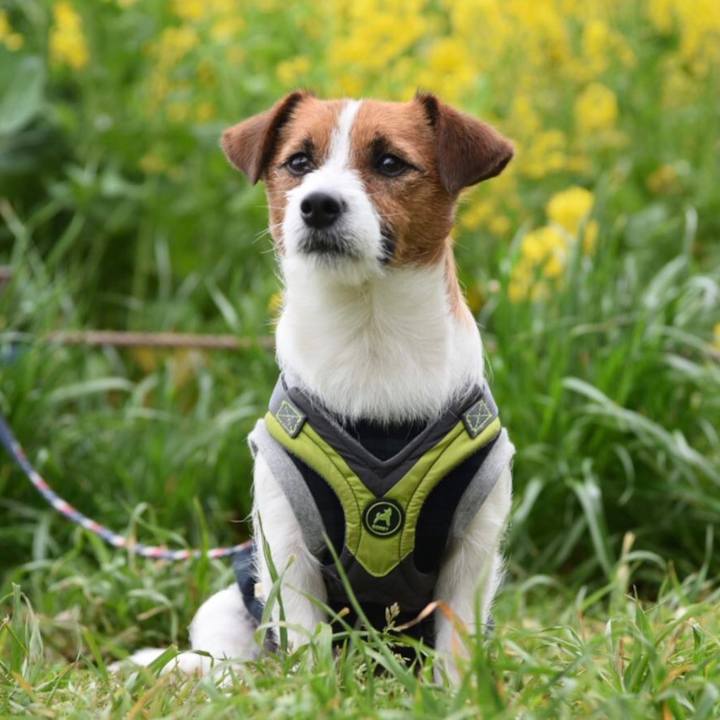 Eb834fc4 7171 4940 8ca7 f5ab0a84106b