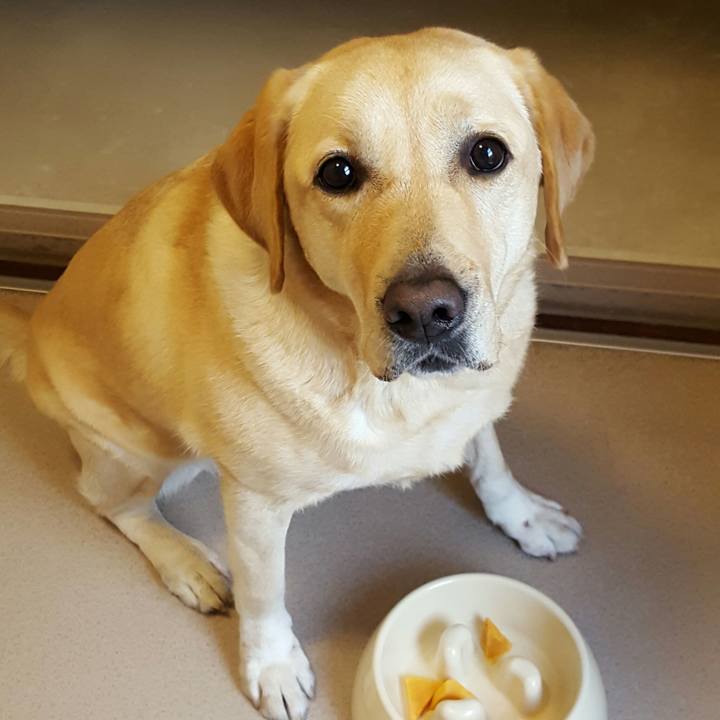 Eb83d8bd 5fe6 4346 8e83 7debb60de47b